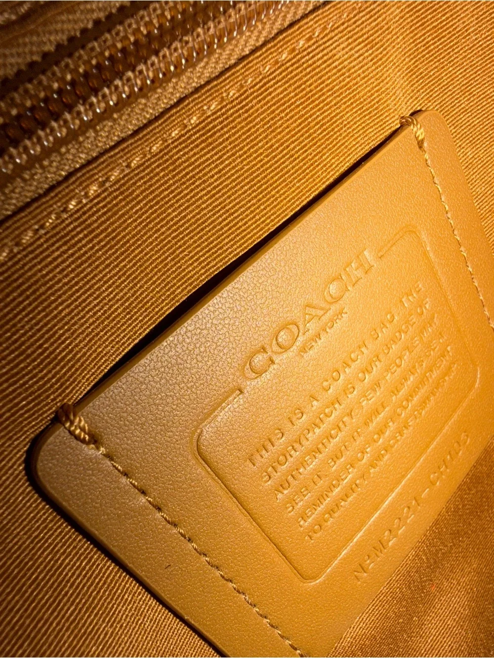 Coach Track Backpack in Colorblock with Coach Stamp (Style No. CH103) NWT